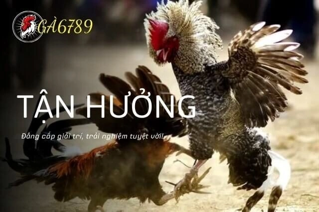 Khám phá Thế giới Ga6789 đăng nhập Hướng dẫn & Kinh nghiệm Chơi Game